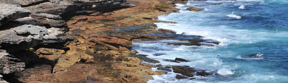 International Summer Course on Tropical Biodiversity and Sustainable Development